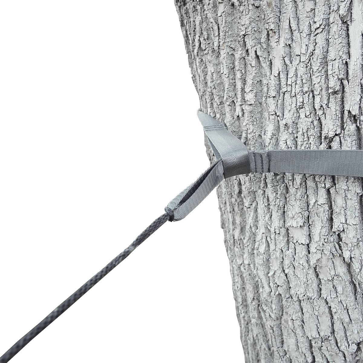Close-up of an Outdoor Vitals tree saver strap wrapped around a tree trunk and attached to a Whoopie Sling suspension line.