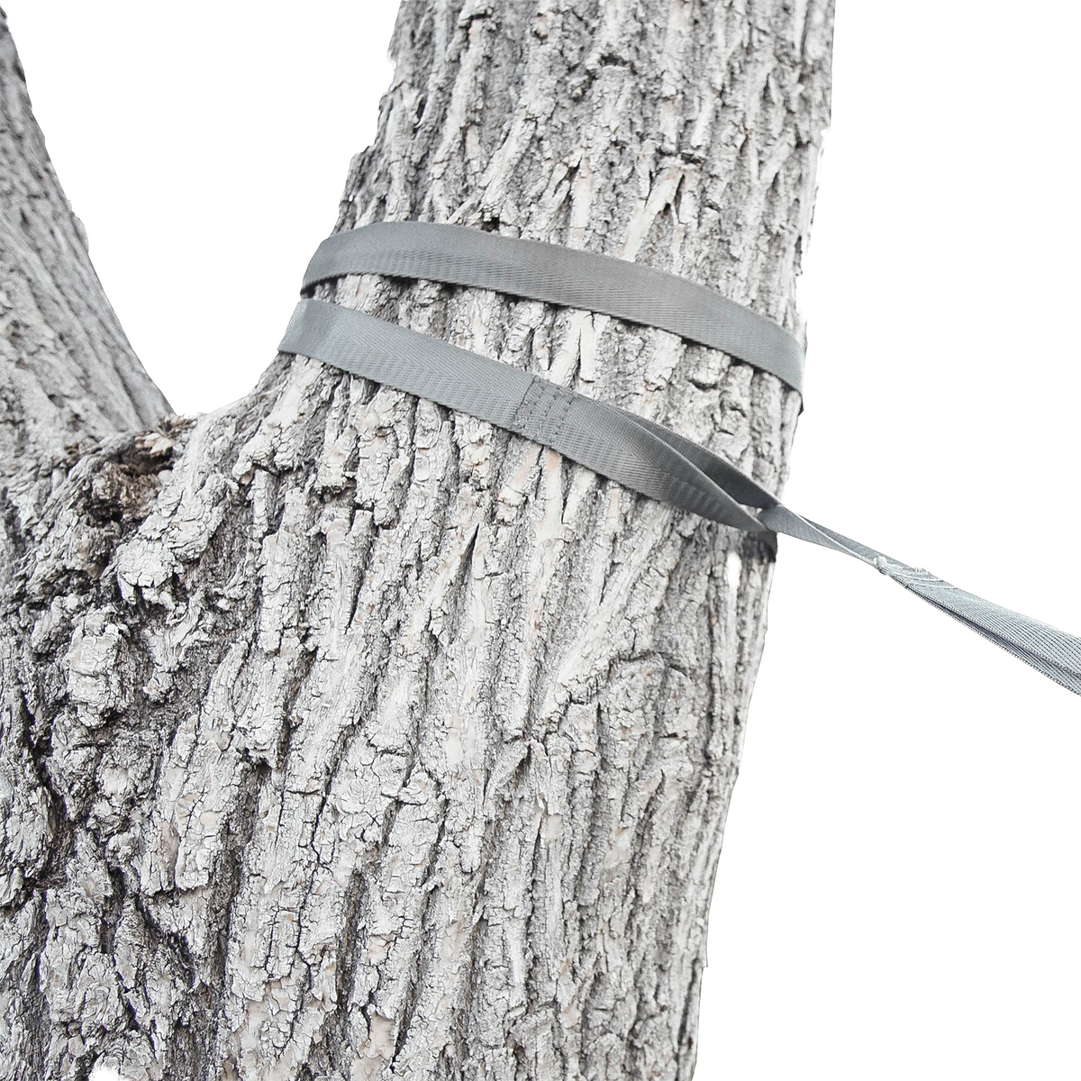 Close-up of an Outdoor Vitals tree saver strap wrapped around a tree trunk as part of a hammock suspension system.